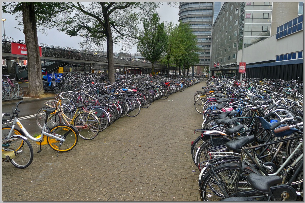 P1230356_7_8.jpg (410 KB)