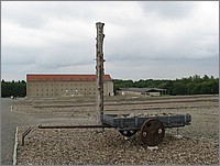 IMG_4498.JPG(111 KB)