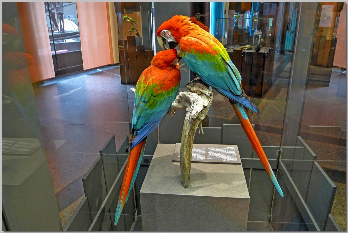 P1280125_6_7.jpg (240 KB)