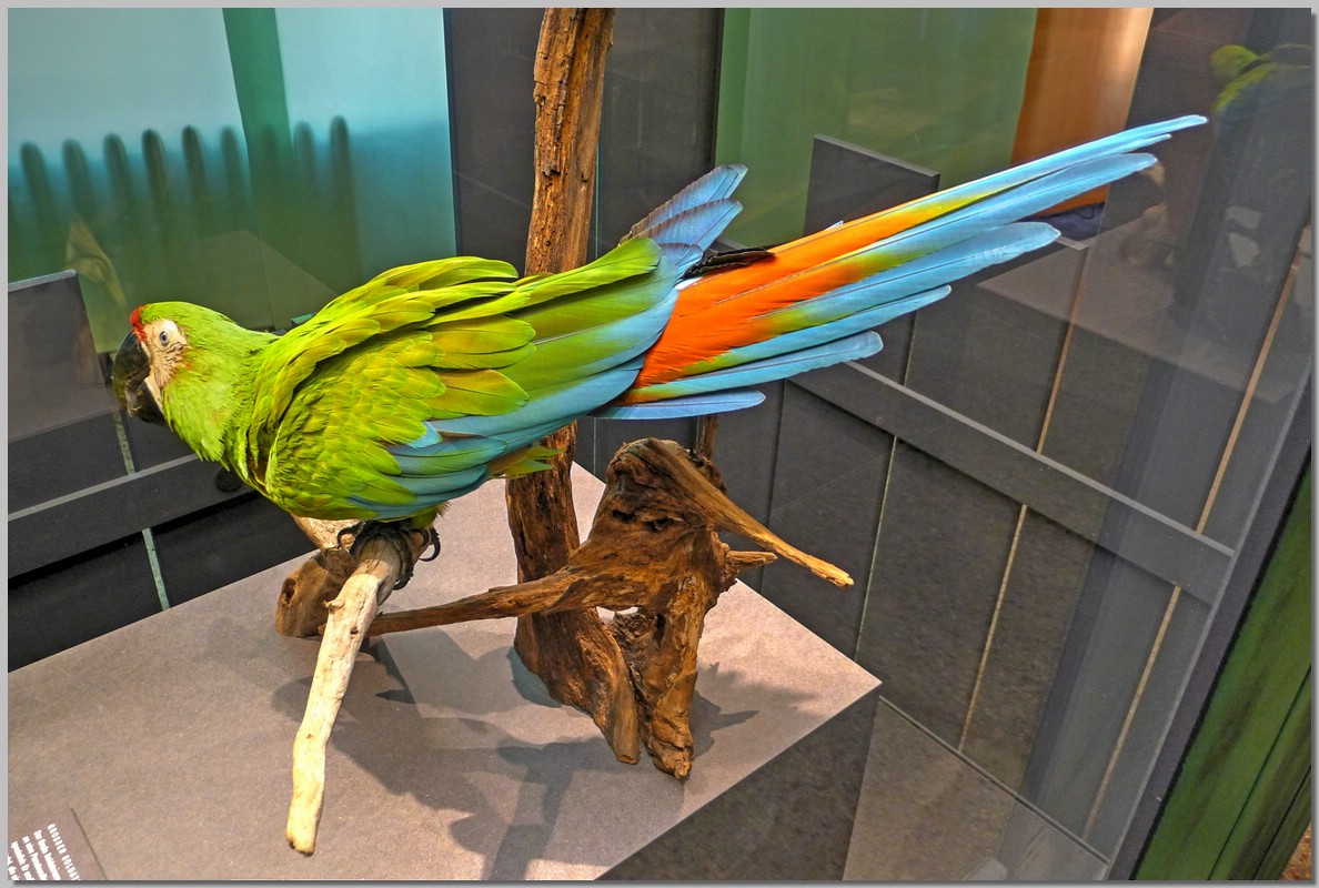 P1280133_4_5.jpg (228 KB)