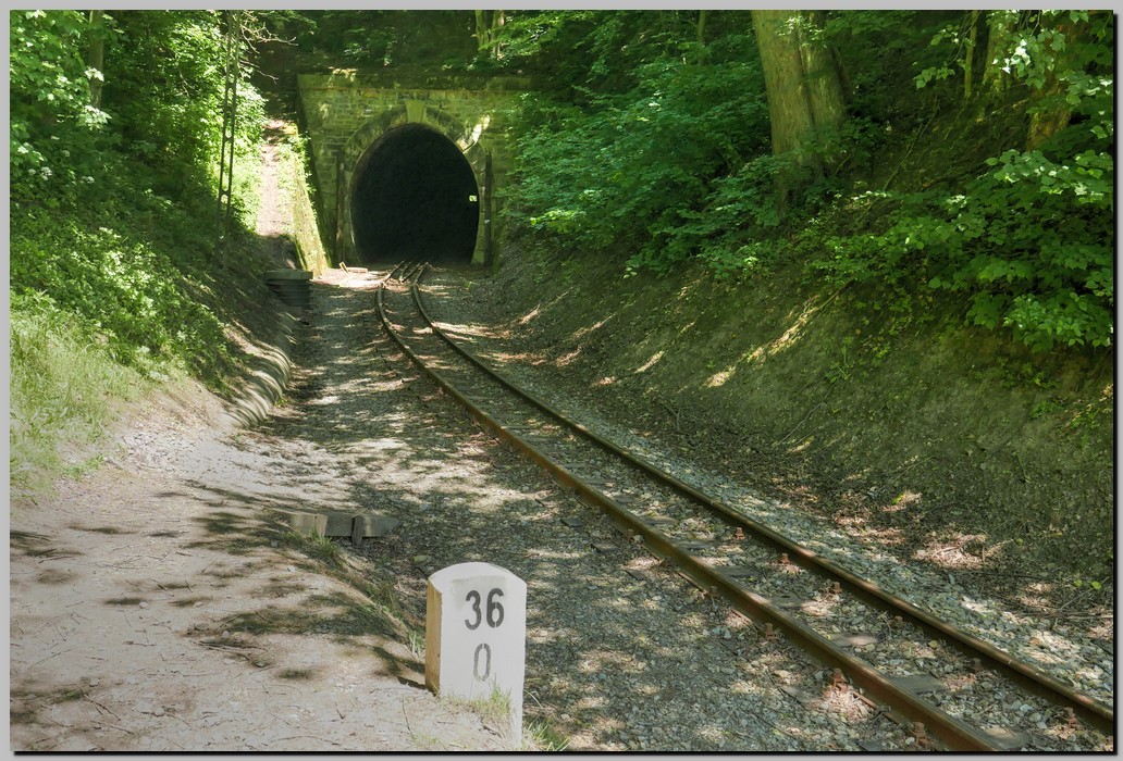 P1670391_2_3.jpg (333 KB)