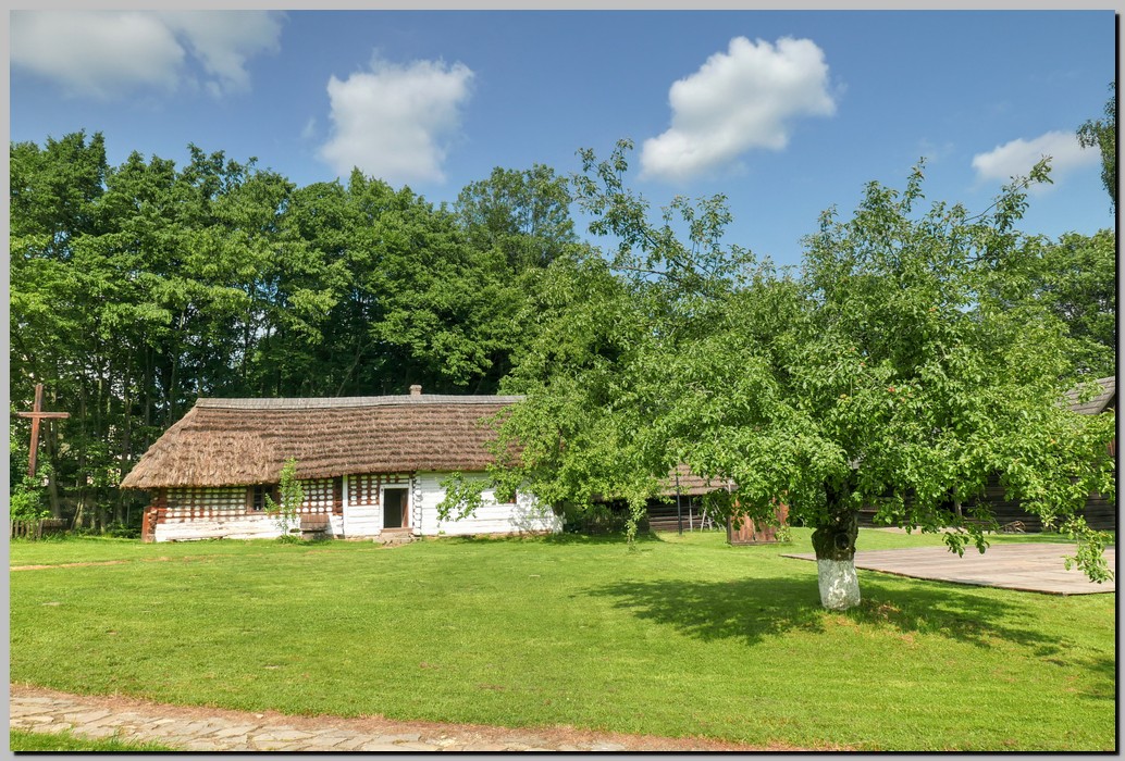 P1670685_6_7.jpg (331 KB)