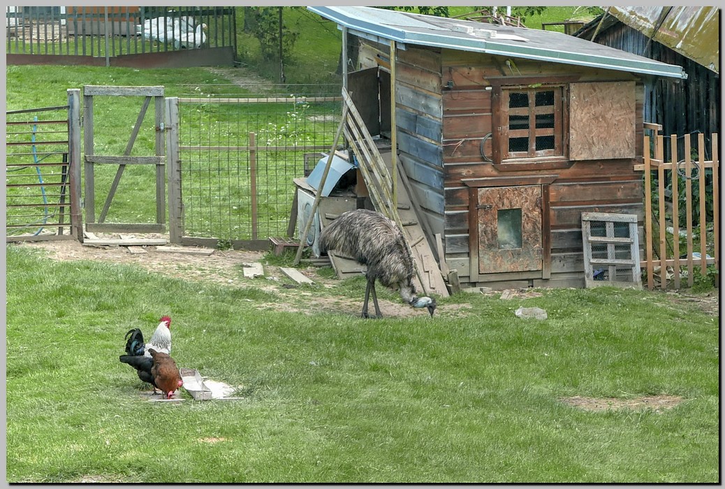 P1670781_2_3.jpg (334 KB)