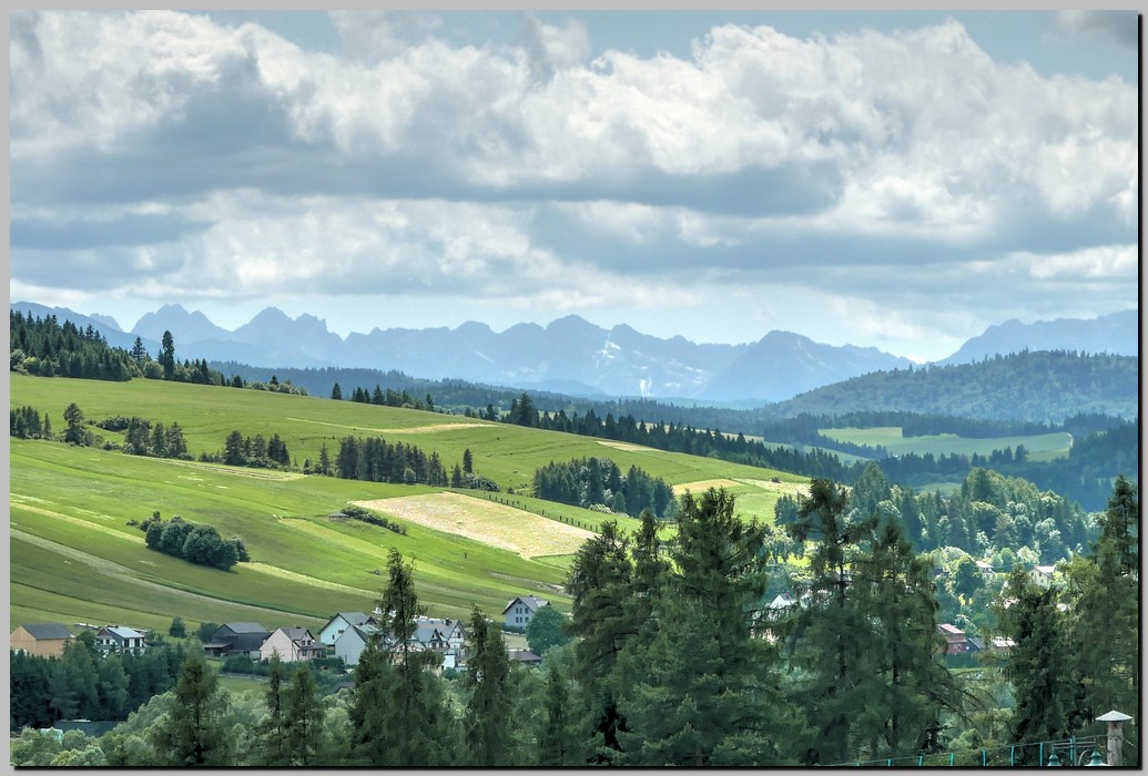 P1670799_800_801.jpg (220 KB)