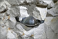 P1670352_3_4.jpg(216 KB)