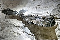 P1670364_5_6.jpg(195 KB)