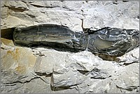 P1670367_8_9.jpg(229 KB)