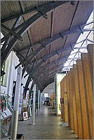 P1670388_89_90.jpg(135 KB)