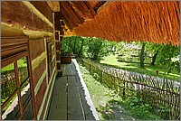 P1670484_5_6.jpg(314 KB)