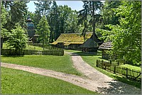 P1670490_1_2.jpg(391 KB)