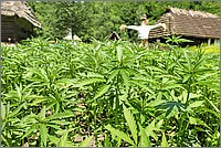 P1670511_2_3.jpg(320 KB)