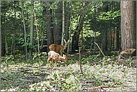 P1670580_1_2.jpg(361 KB)