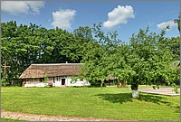 P1670685_6_7.jpg(331 KB)