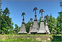 P1670700_1_2.jpg(307 KB)