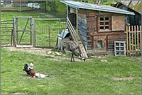 P1670781_2_3.jpg(334 KB)