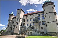 P1670820_1_2.jpg(207 KB)