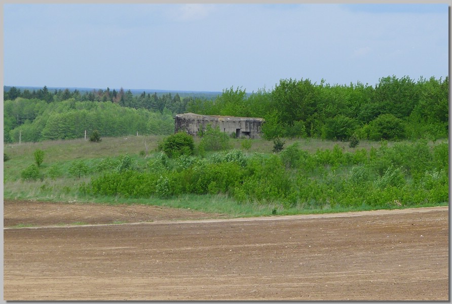 P1090218.JPG (139 KB)