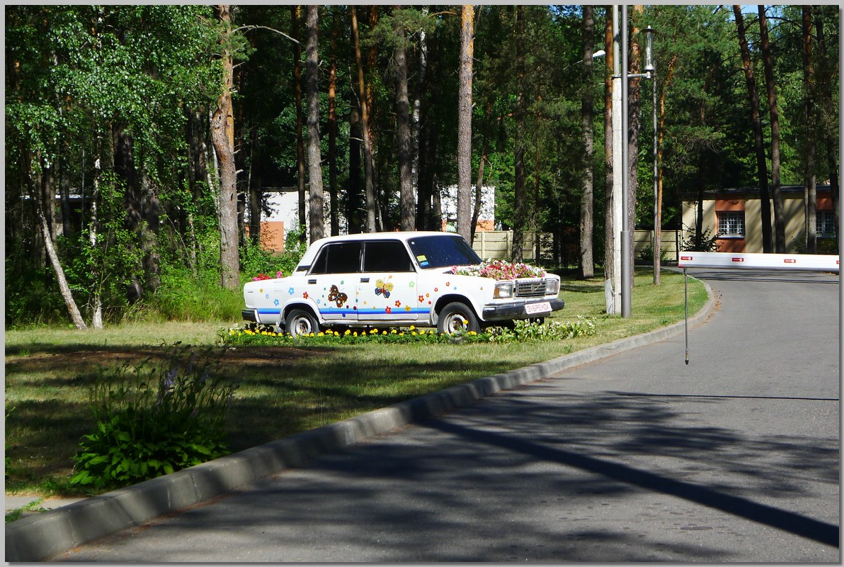 P1360336.JPG (360 KB)