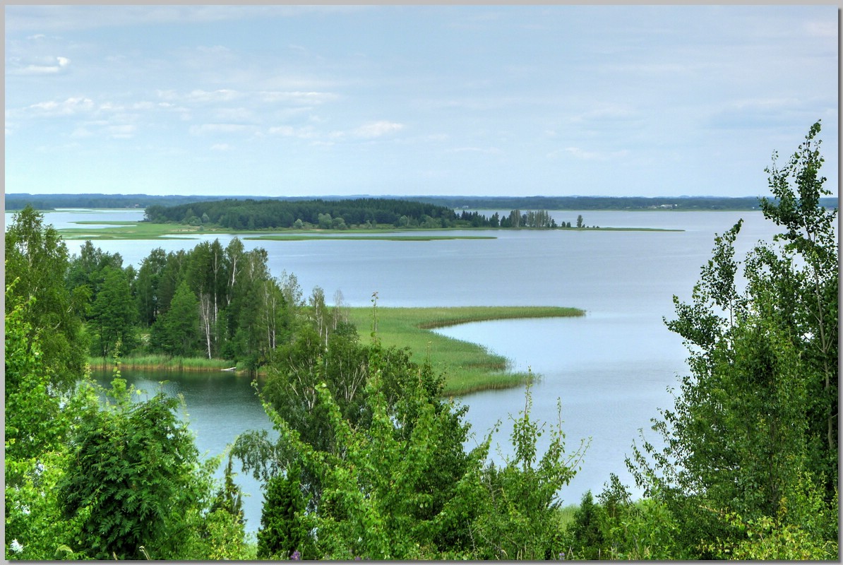 P1360474_5_6.jpg (294 KB)