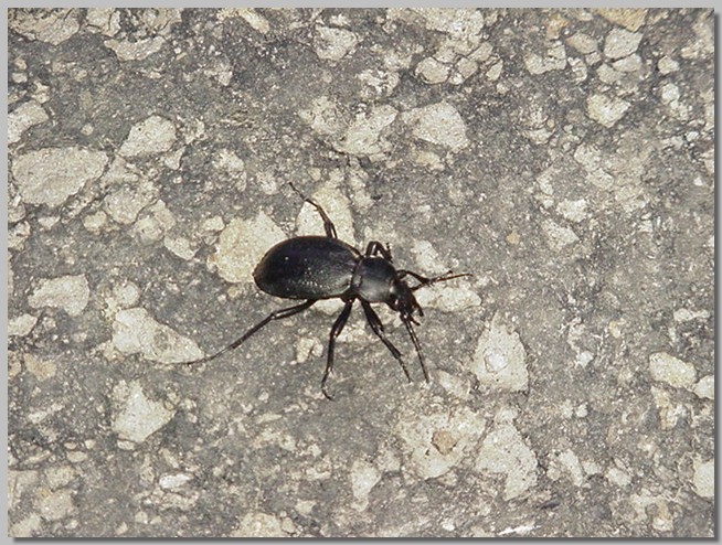 MVC-482F.JPG (144 KB)