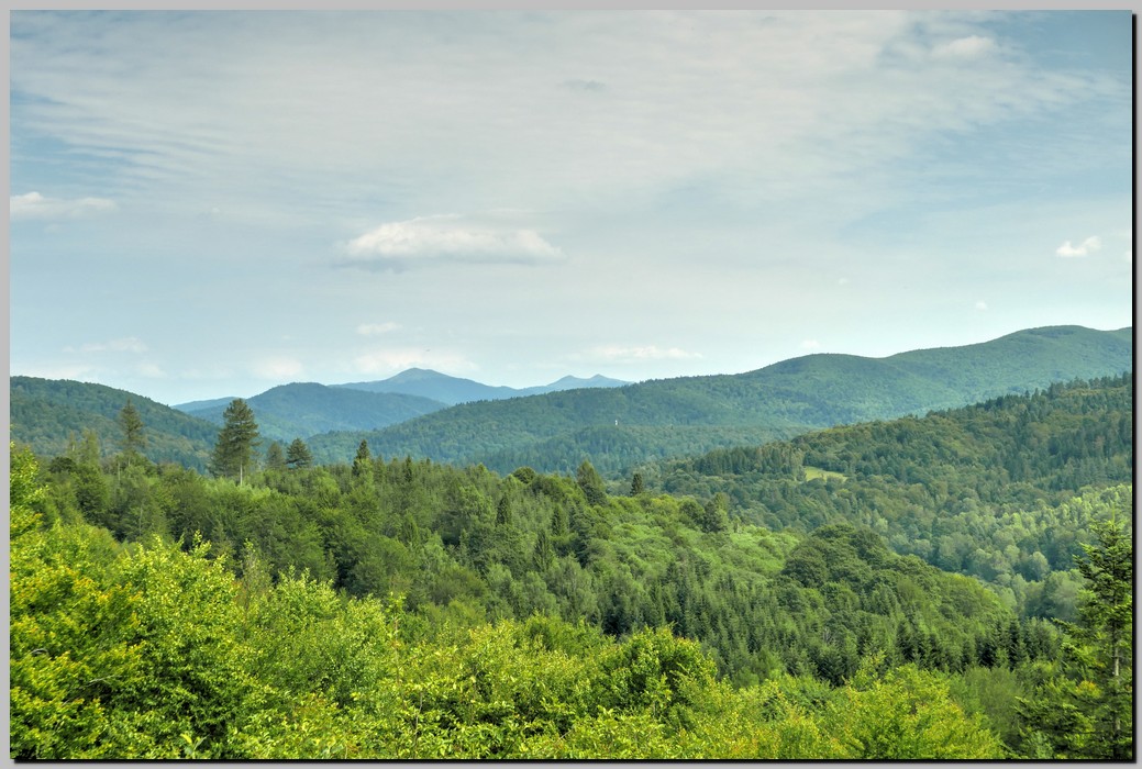 P1670958_59_60.jpg (236 KB)