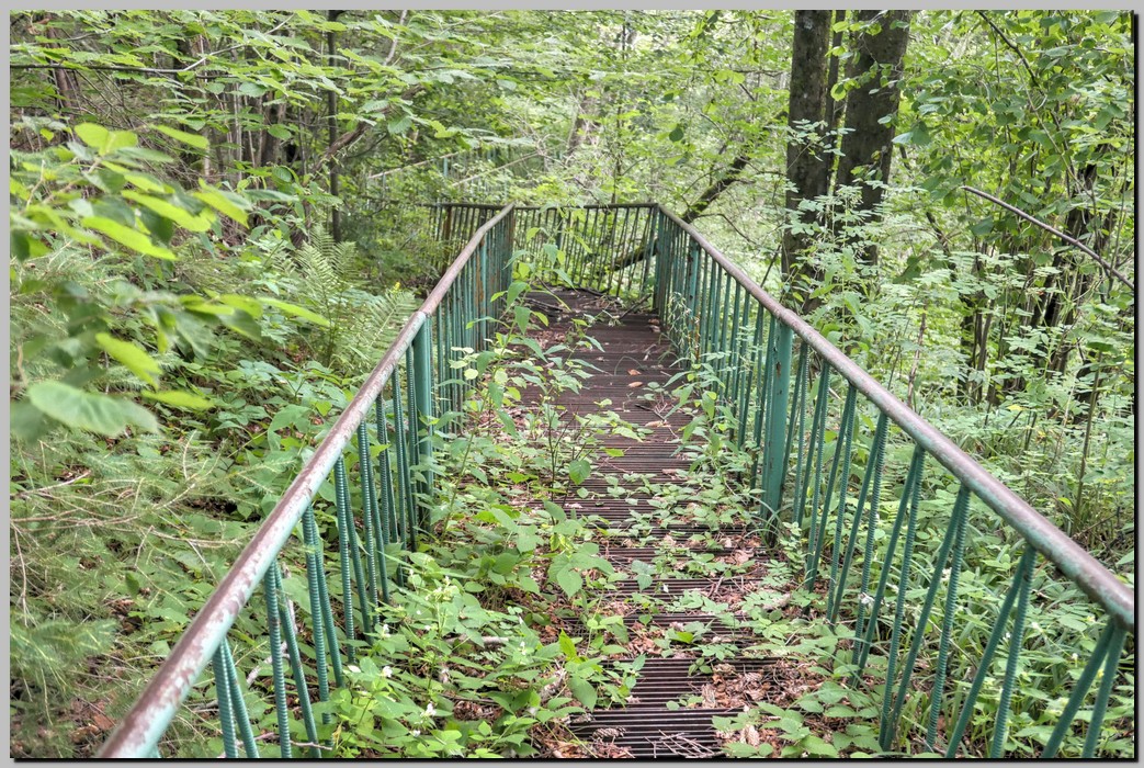 P1670961_2_3.jpg (419 KB)