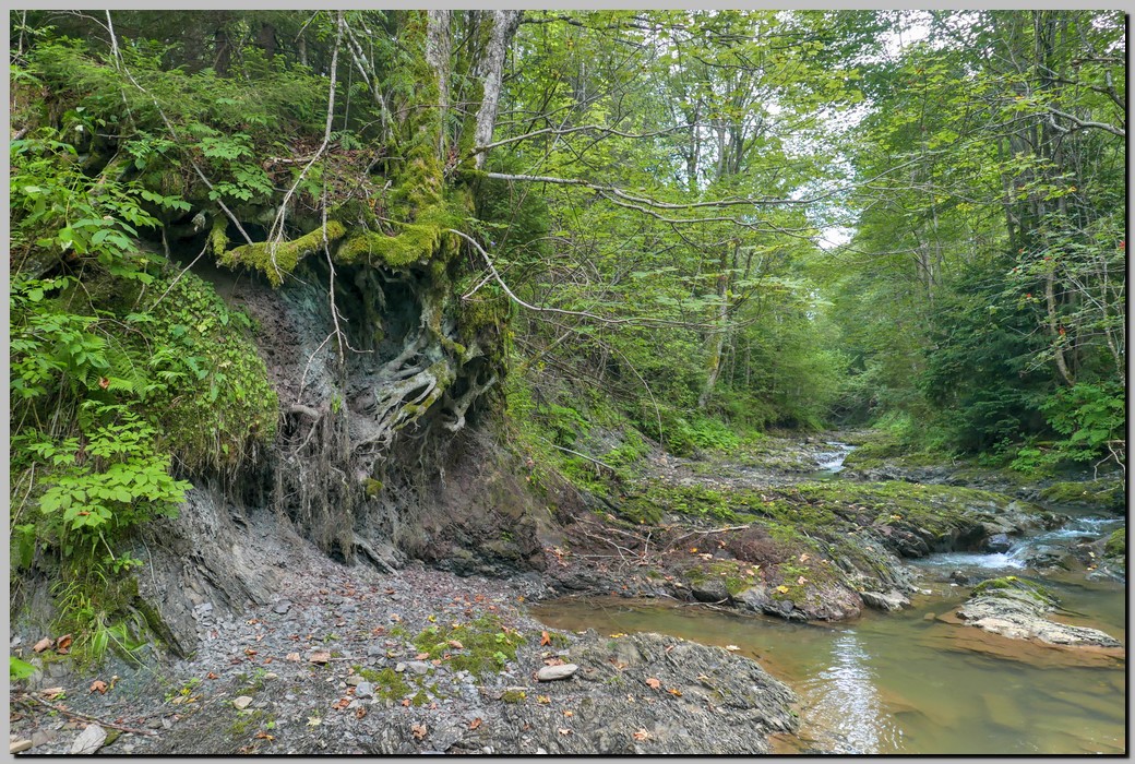 P1670967_8_9.jpg (408 KB)