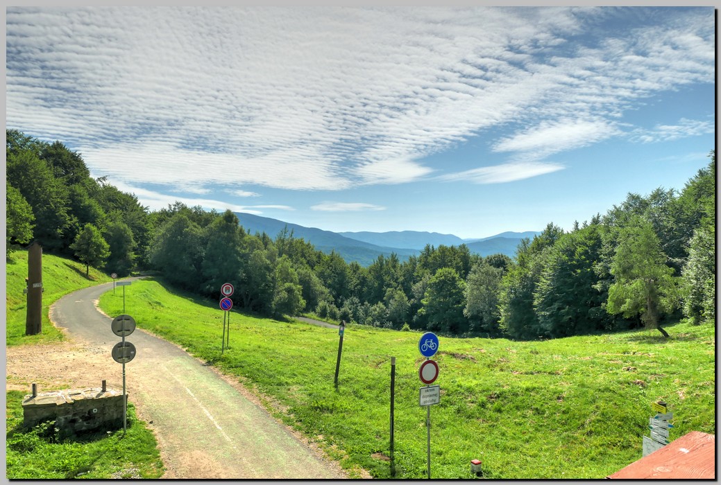 P1670994_5_6.jpg (285 KB)