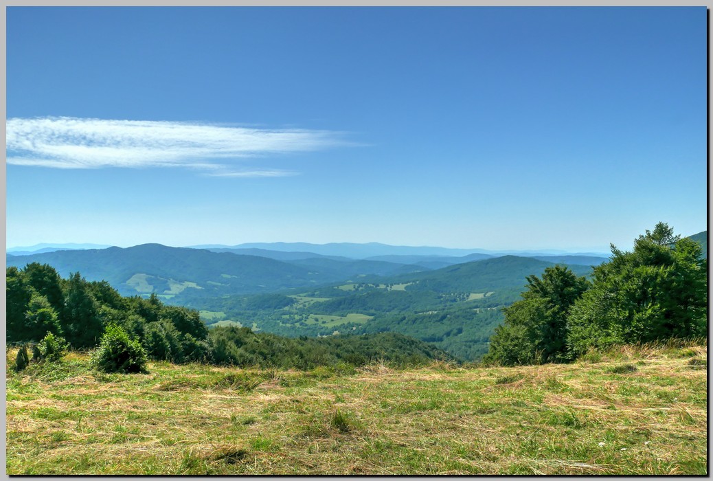 P1680010_1_2.jpg (228 KB)