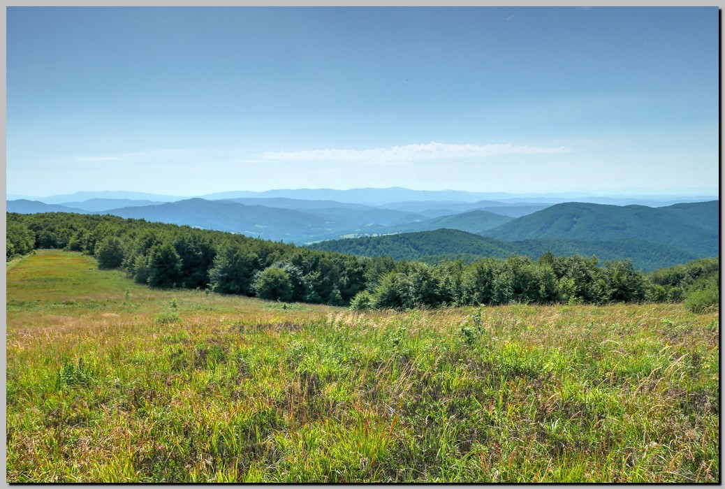 P1680016_7_8.jpg (274 KB)