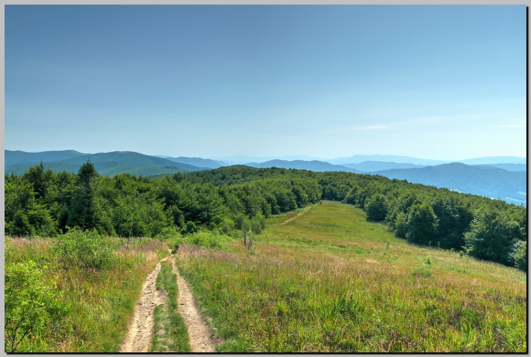 P1680025_6_7.jpg (243 KB)