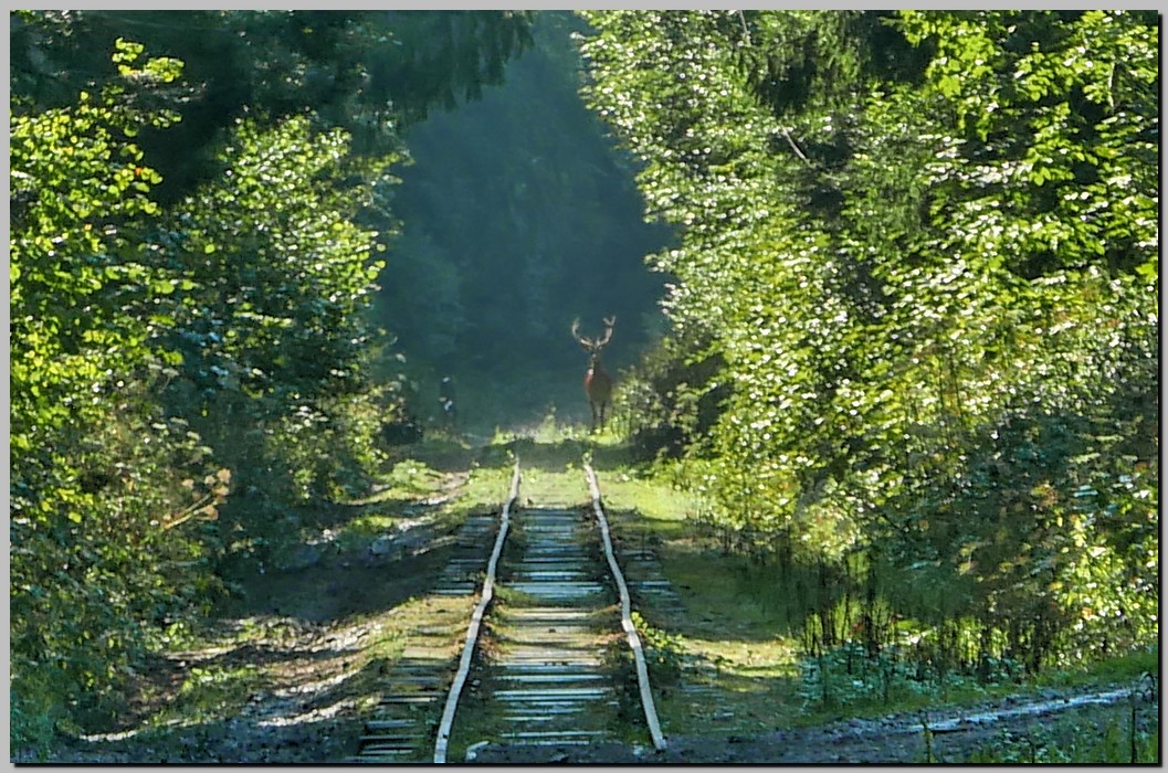 P1680046_7_8.jpg (332 KB)