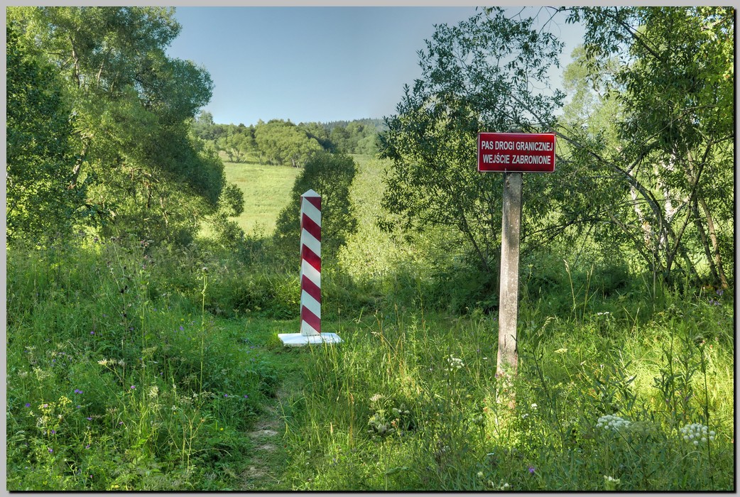 P1680163_4_5.jpg (402 KB)