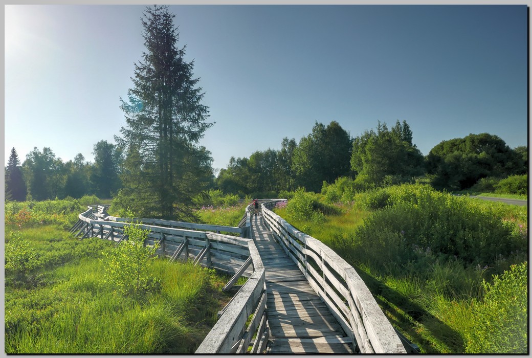 P1680166_7_8.jpg (258 KB)