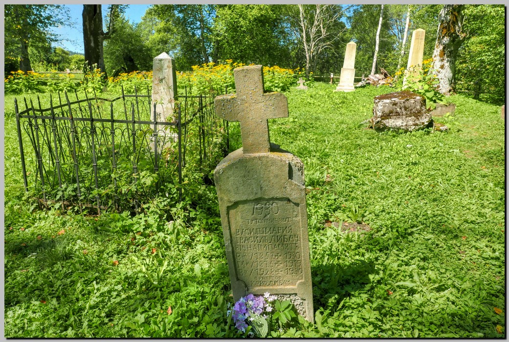 P1680181_2_3.jpg (449 KB)