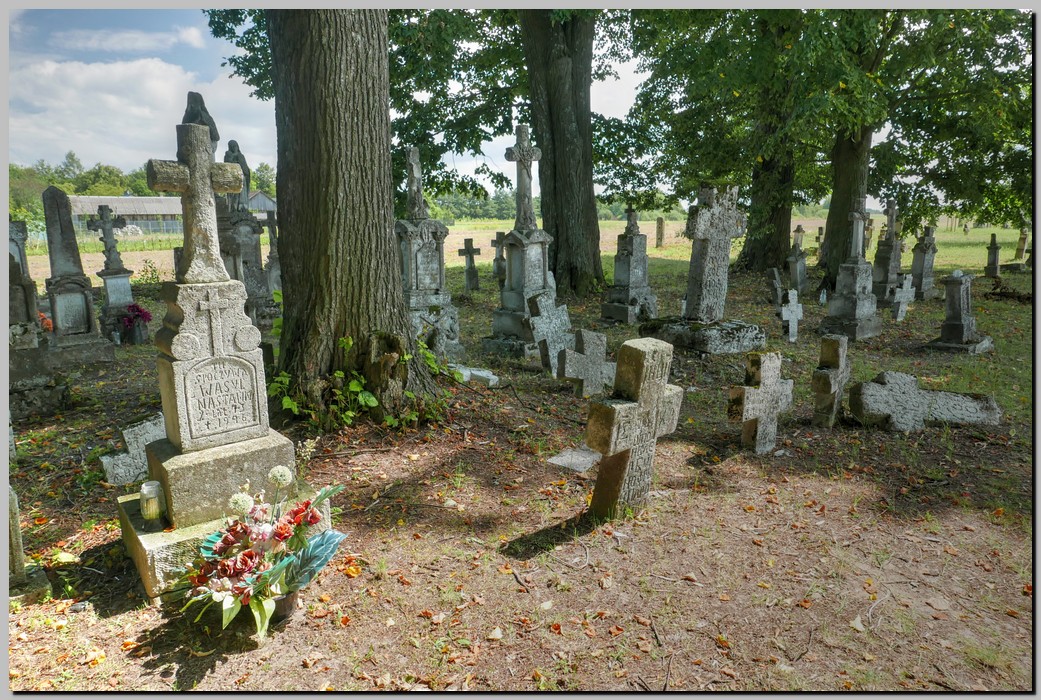 P1680391_2_3.jpg (379 KB)