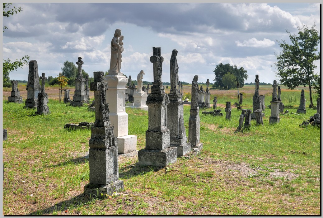 P1680394_5_6.jpg (323 KB)