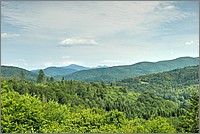 P1670958_59_60.jpg(236 KB)