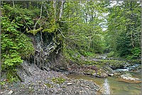 P1670967_8_9.jpg(408 KB)