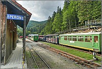 P1670982_3_4.jpg(315 KB)