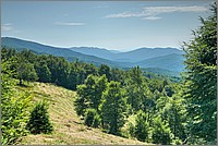 P1680007_8_9.jpg(309 KB)