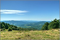 P1680010_1_2.jpg(228 KB)