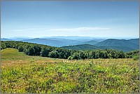 P1680016_7_8.jpg(274 KB)