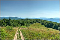 P1680025_6_7.jpg(243 KB)