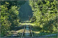 P1680046_7_8.jpg(332 KB)