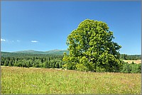 P1680073_4_5.jpg(276 KB)