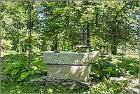 P1680076_7_8.jpg(409 KB)