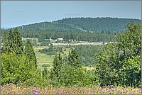 P1680112_3_4.jpg(347 KB)