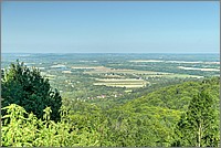 P1680220_1_2.jpg(267 KB)