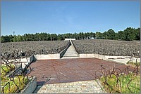 P1680361_2_3.jpg(264 KB)